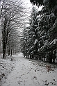 Bieszczady 12.2007 040